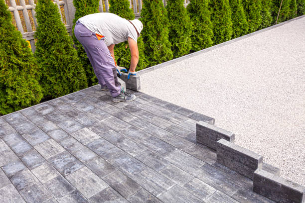 Best Brick Driveway Pavers  in Dunedin, FL