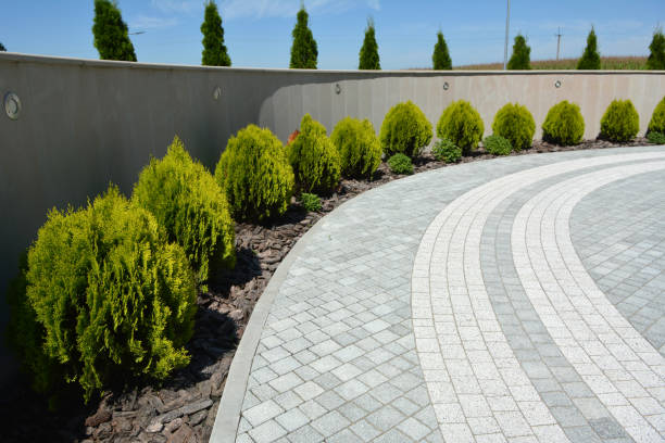 Professional Driveway Pavers in Dunedin, FL