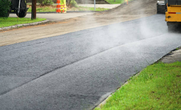 Best Driveway Pavers Near Me  in Dunedin, FL